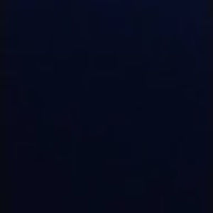 Meet your Posher, Rico jr